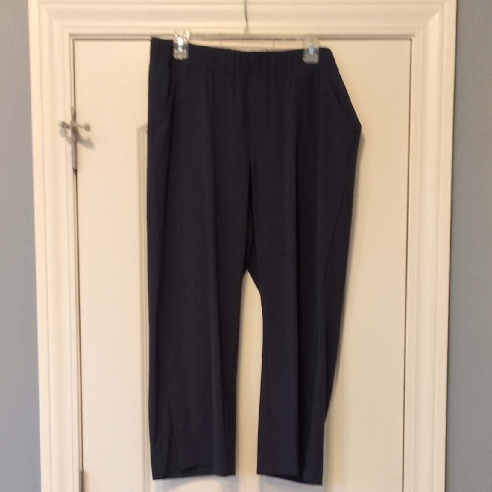 J. Jill Women's Dark Blue Pull-on Pants